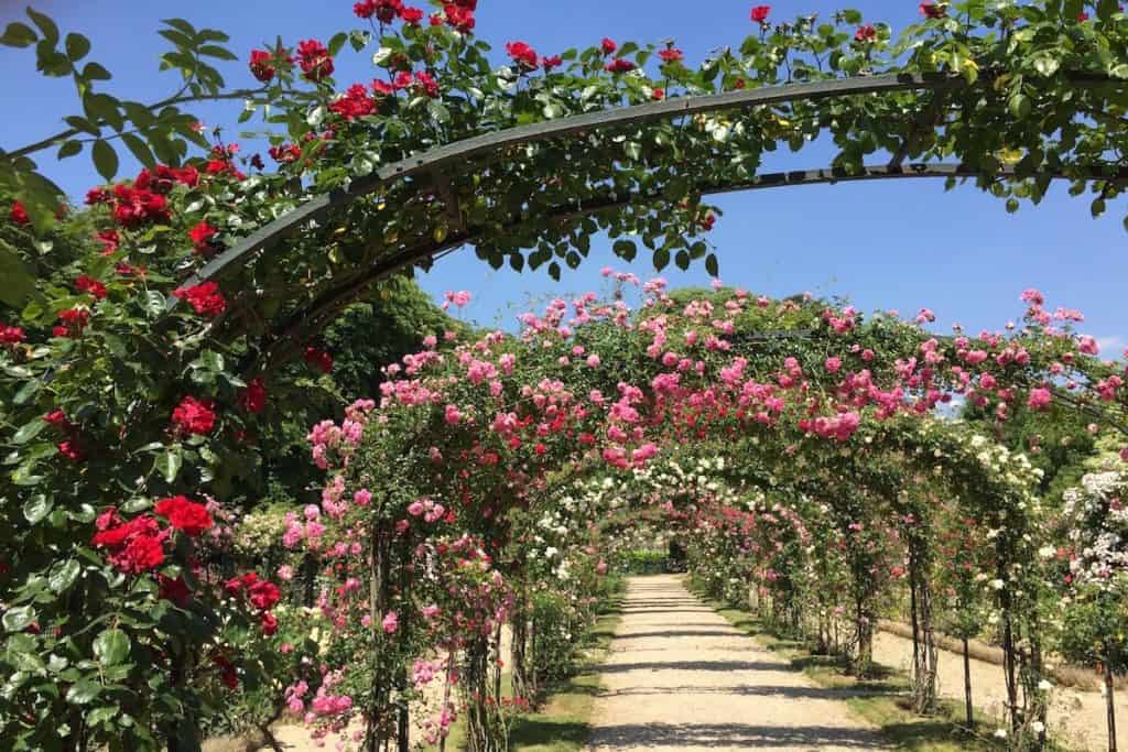 val du marne roseraie