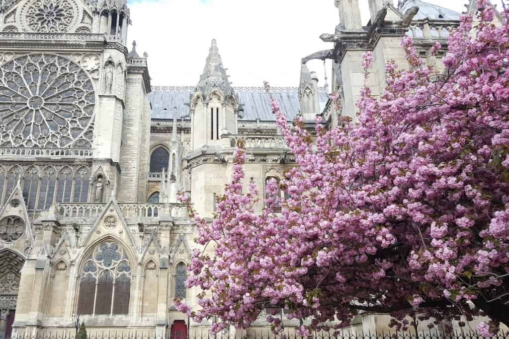 Instagram Paris spring