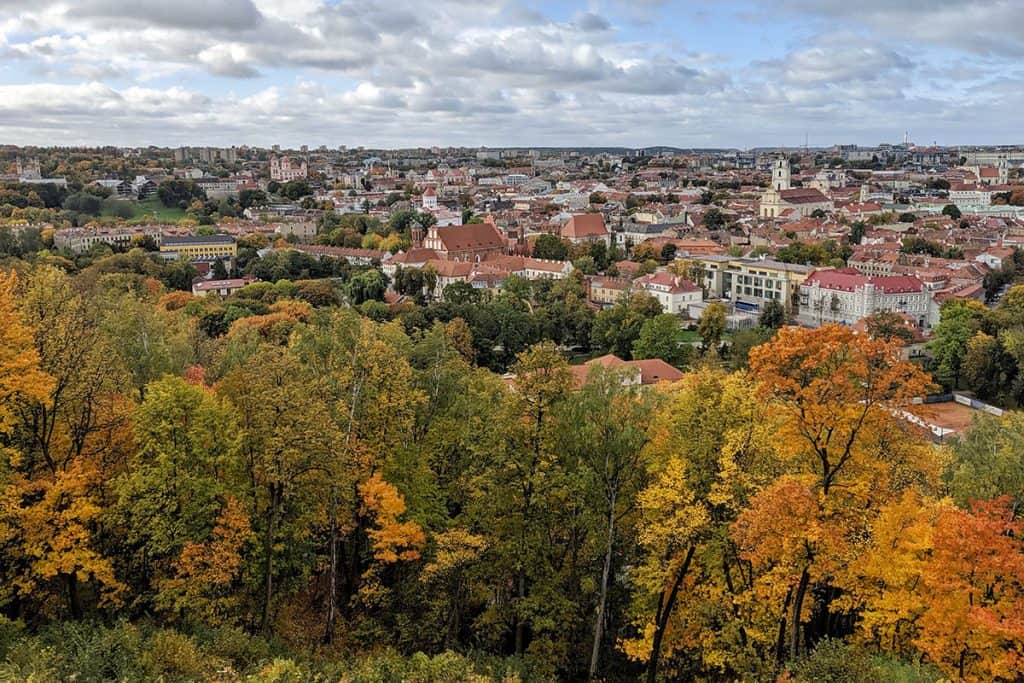 a view of autumn leaves in a wooded area near vilnius