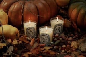 image of three candles in a pumpkin patch