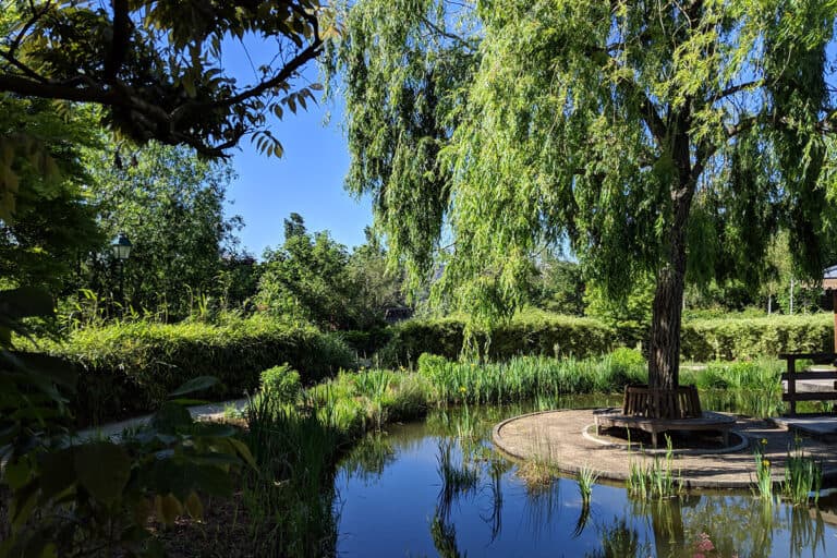a view of the countryside including a pond and trees
