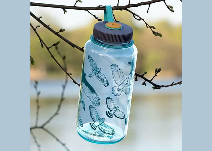hawks in flight design nalgene bottle hanging from tree