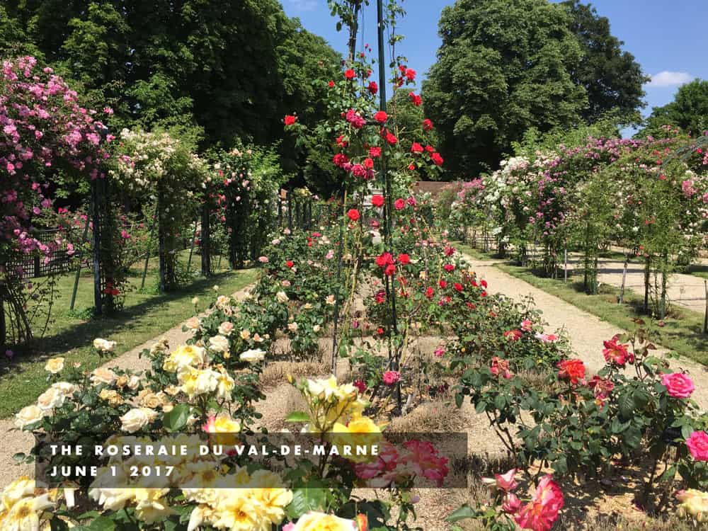 Roseraie du Val-de-Marne