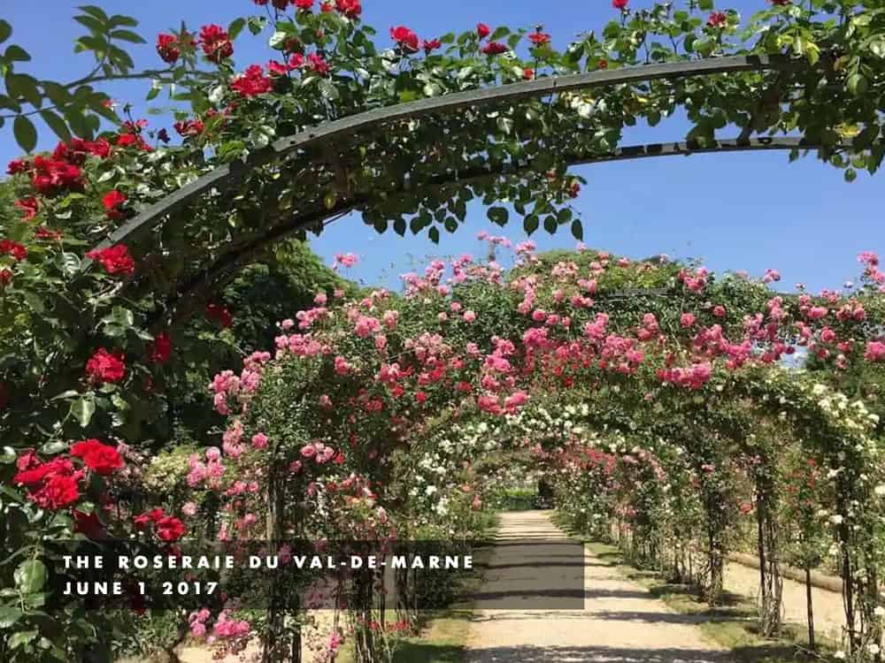 Roseraie du Val-de-Marne
