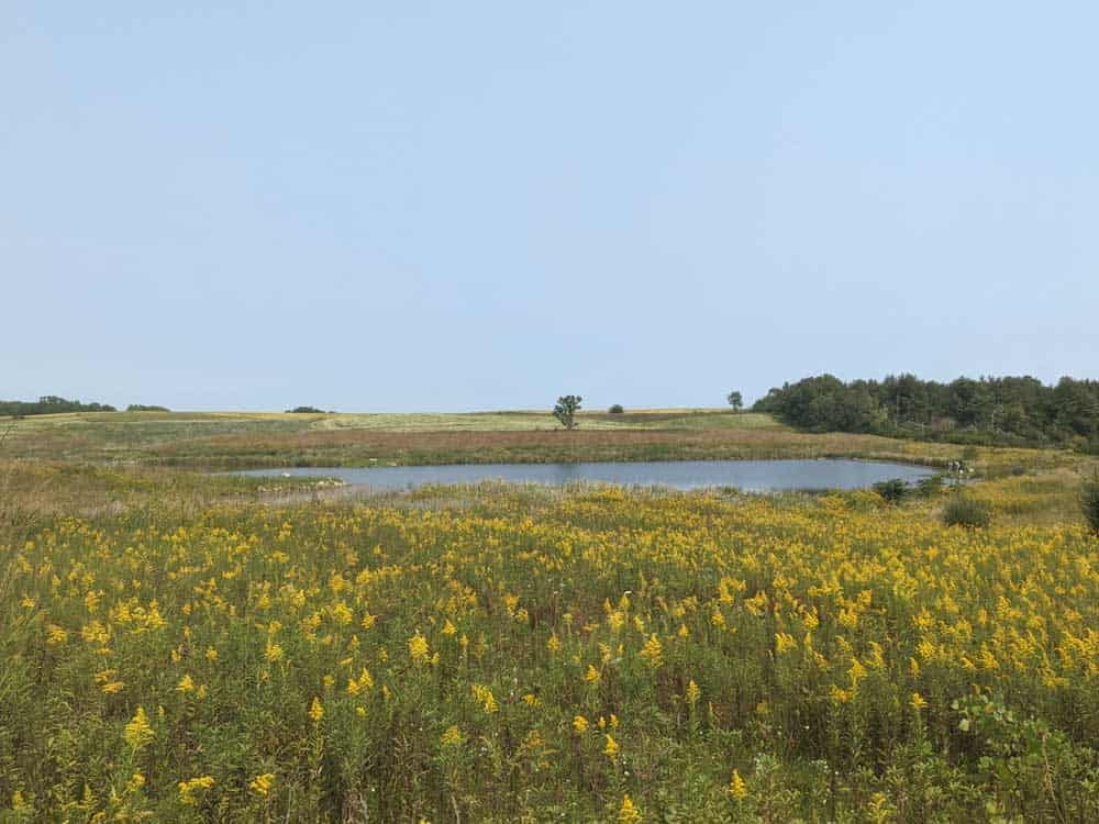 central park in johnson county