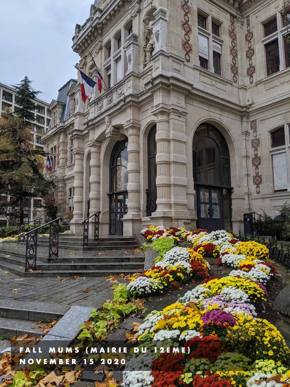 mums at mairie du 12eme