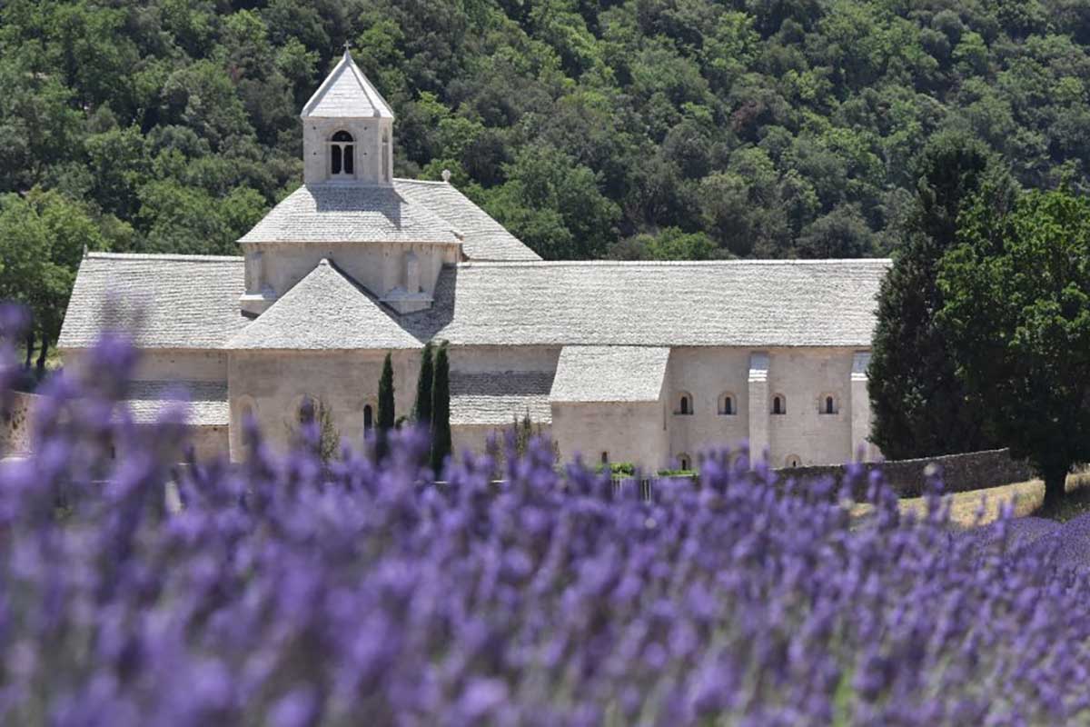 abbey Sénanque
