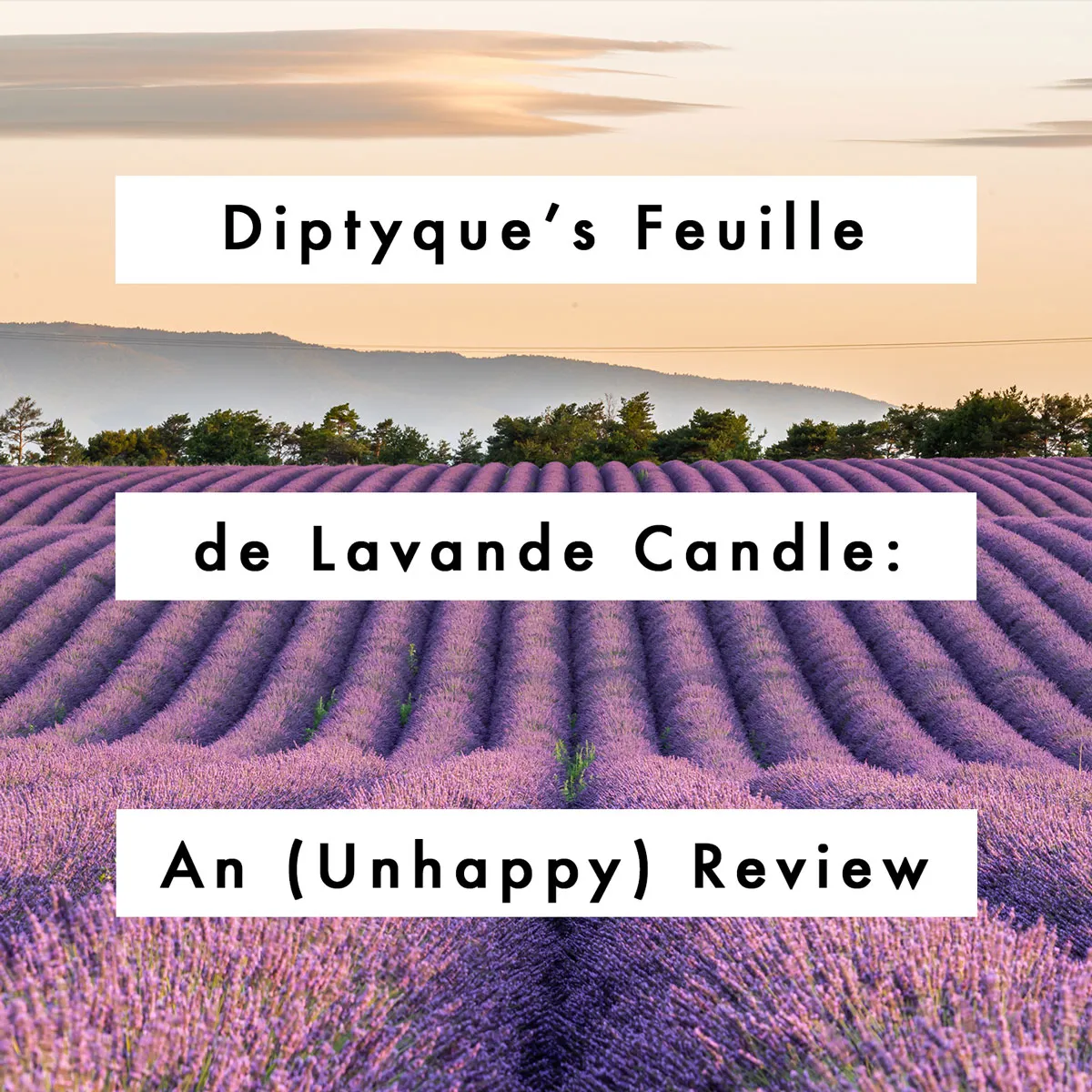 Feuille de Lavande / Lavender Leaf candle | Diptyque Paris