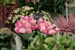 emily in paris season 1 episode 4 - main image