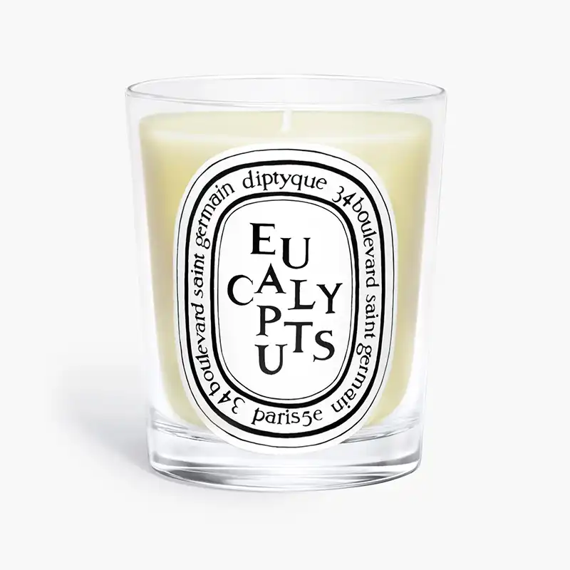best diptyque candles for men - eucalyptus