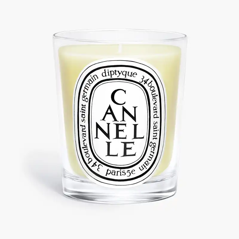 best diptyque candles for winter - cannelle