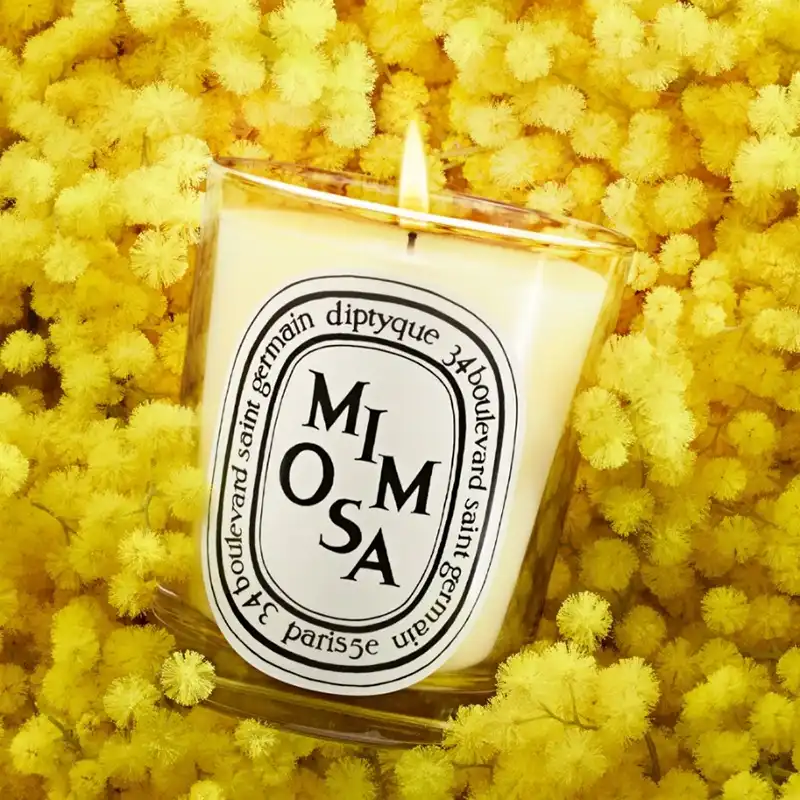 best diptyque candles for winter - mimosa