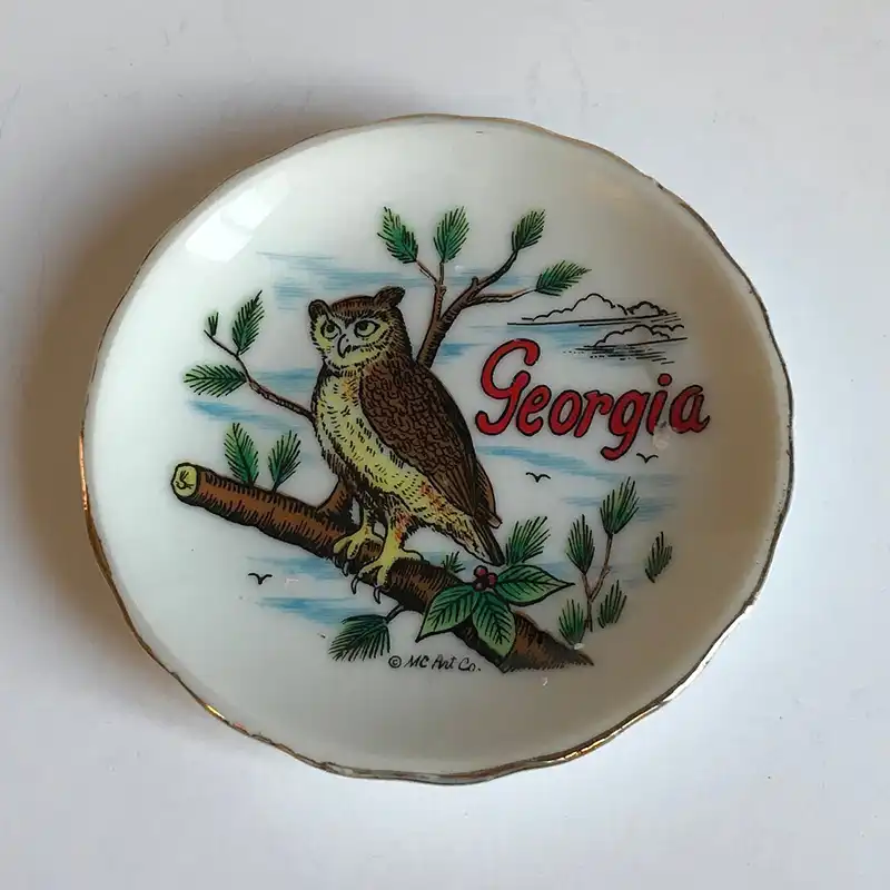georgia souvenir plate