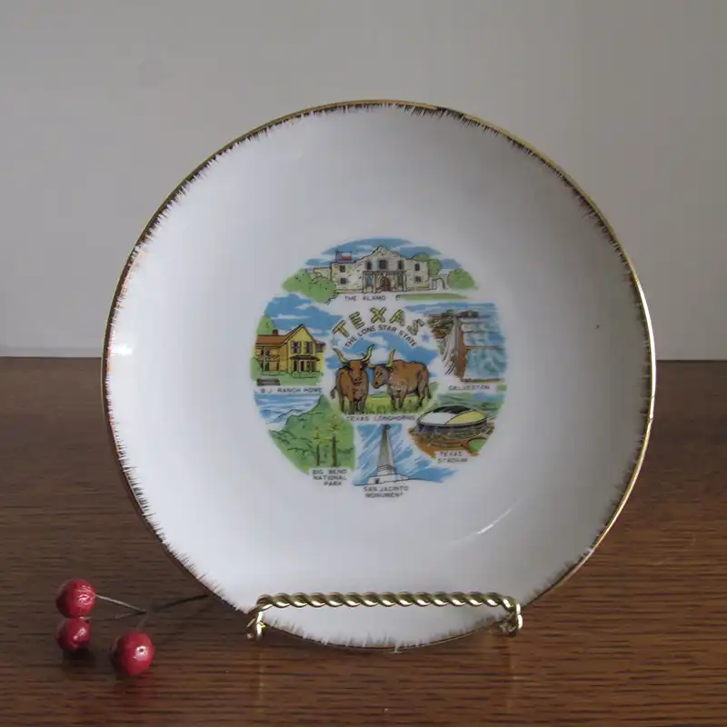 texas vintage souvenir plate