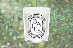 best diptyque candle - image of baies candle