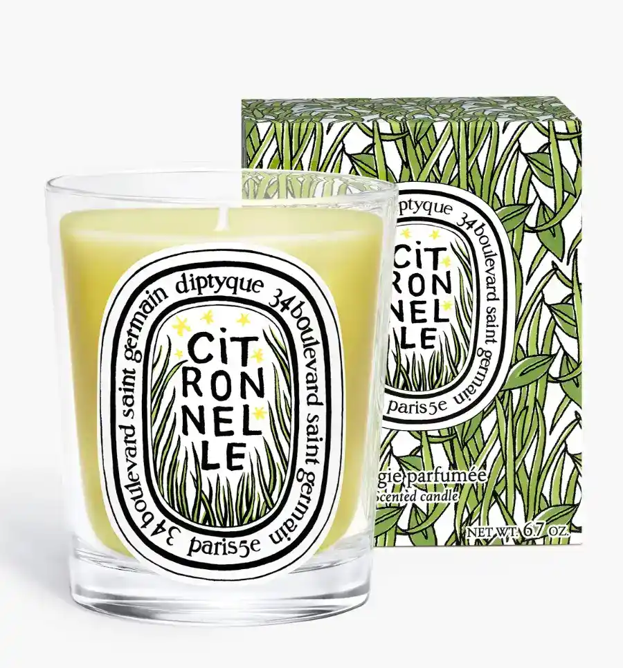 diptyque citronnelle candle