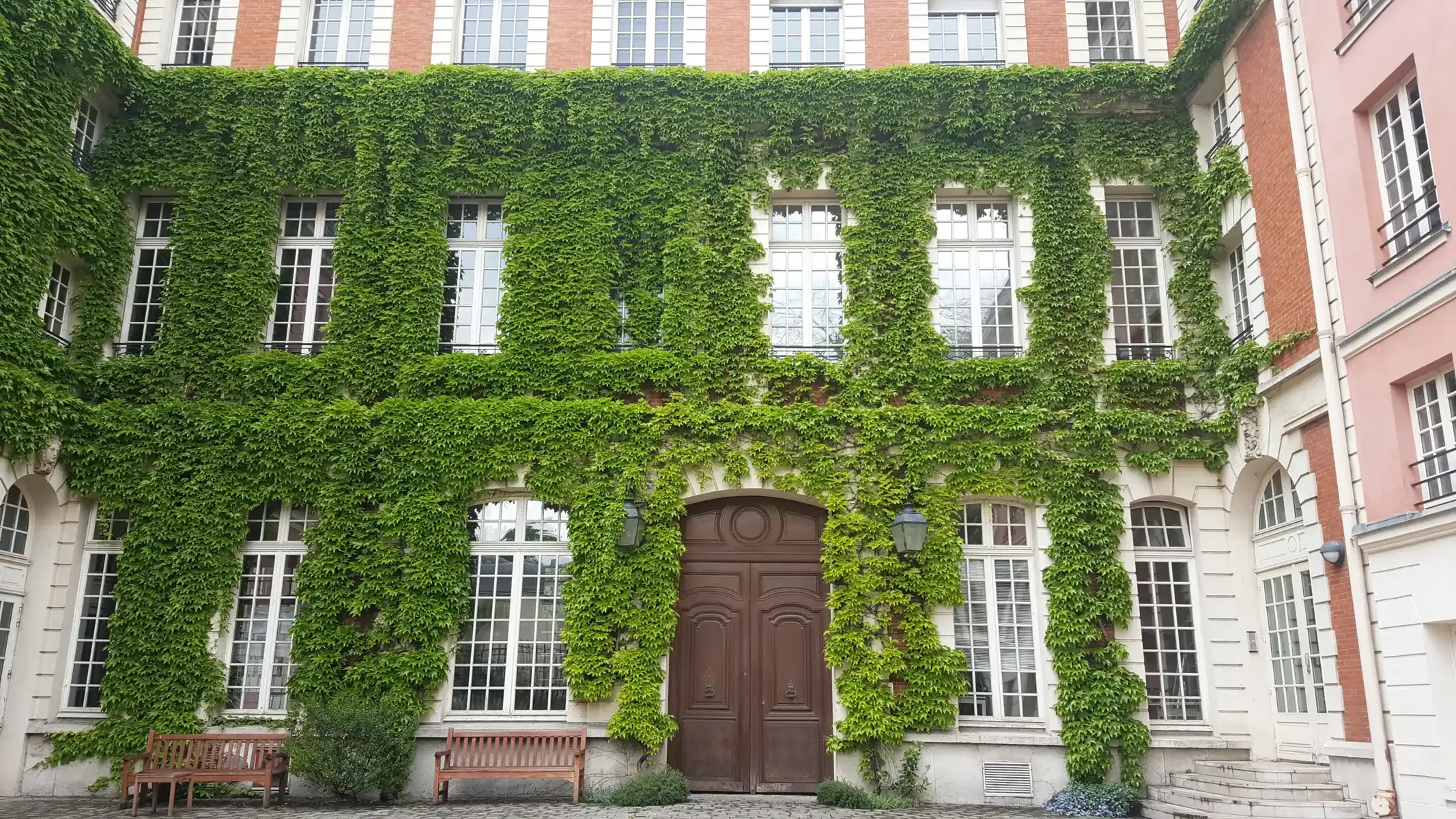 ivy covered building in paris