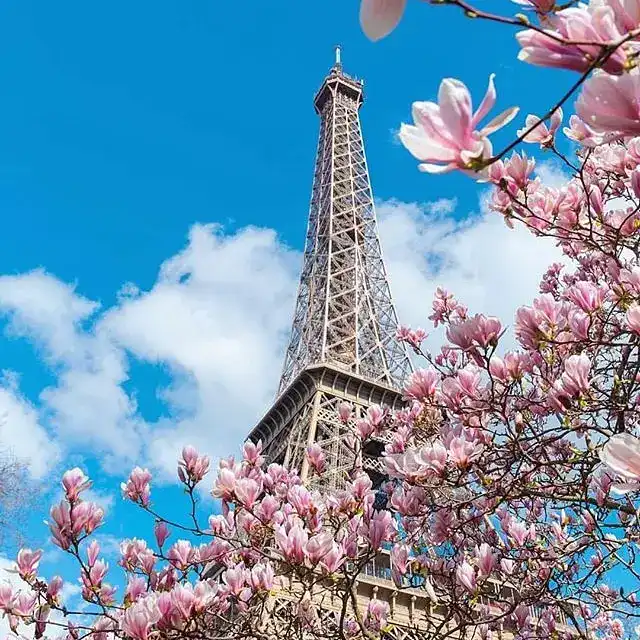 eiffel tower in april