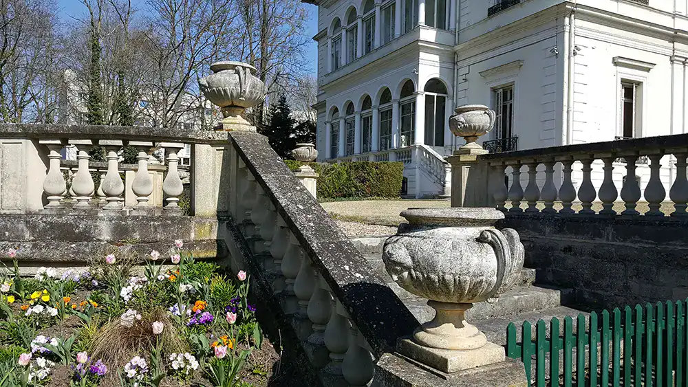 paris in march showing flowers