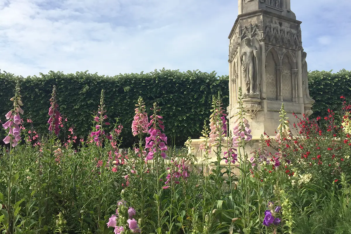 flowers in the jardin des plantes