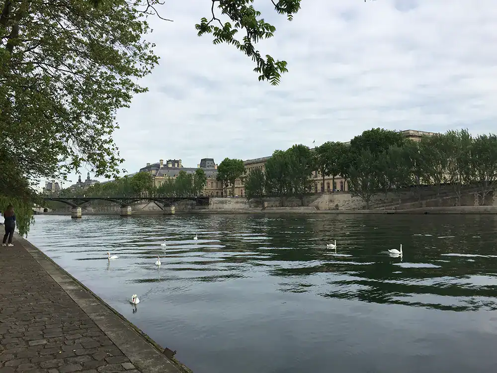 a view of the seine in may