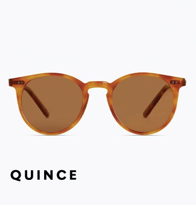quince sunglasses