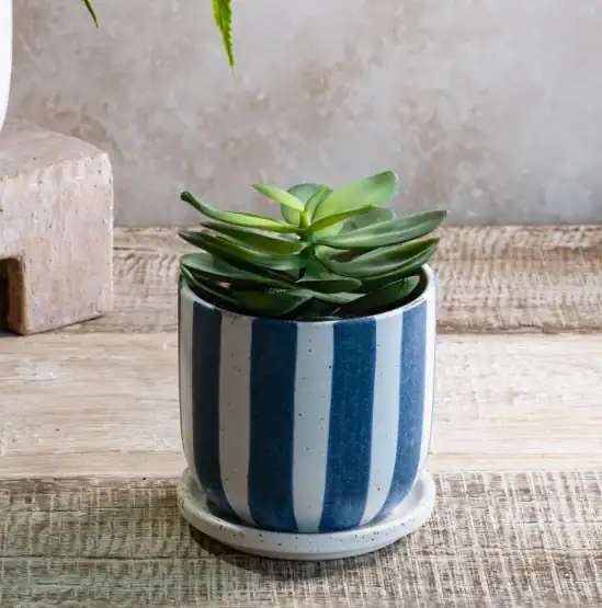 blue and white ceramic planter