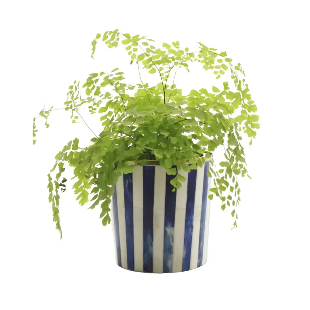 blue and white ceramic planter
