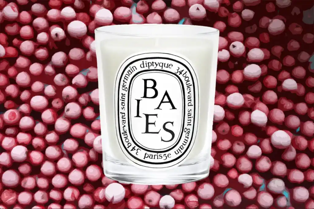 most popular diptyque candle - baies