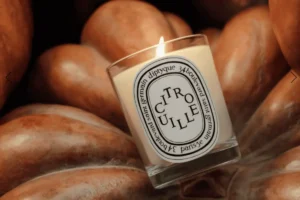 diptyque citrouille candle in pumpkin background